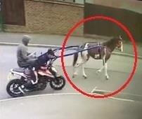 Dung ngua de trom xe may o Anh hinh anh