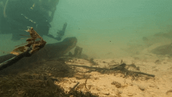 Tho lan phat hien con tran dai 7 m duoi dong song o Brazil hinh anh