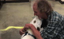 Nguoi dan ong vo gia cu doan tu voi cho cung sau gan 2 tuan mat tich hinh anh