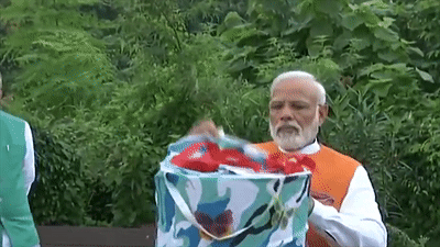 Thu tuong An Do tha hang tram con buom vao ngay sinh nhat hinh anh