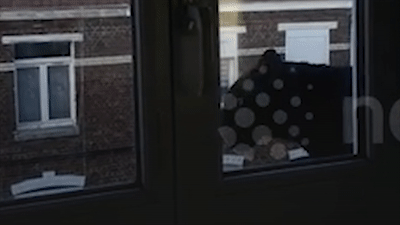 Bao xong chuong di lang thang khap toa nha o Phap hinh anh