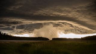 Con dong hinh thanh o Canada nhu the 'bau troi mo ra' hinh anh