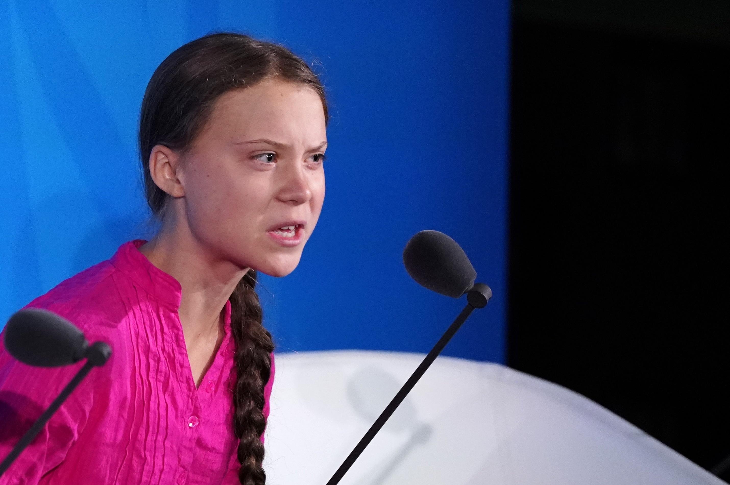 Greta Thunberg: Dung noi nhung loi vien vong ve tang truong nua hinh anh