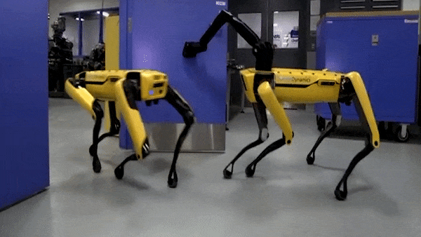 Chu cho robot biet mo cua va doi ban di qua da duoc ban ra thi truong hinh anh