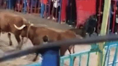 Cau be 12 tuoi song sot sau khi nga truoc mui sung bo tot hinh anh