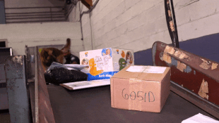 Cach hai quan san bay My kiem tra mot trieu kien hang moi ngay hinh anh