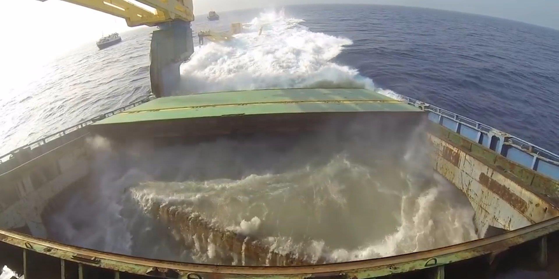 My danh chim tau khong lo de nuoi san ho va ca hinh anh