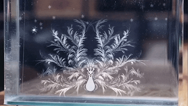 Tranh 'bien hinh' bang giay ghi chu gay sot cong dong mang hinh anh