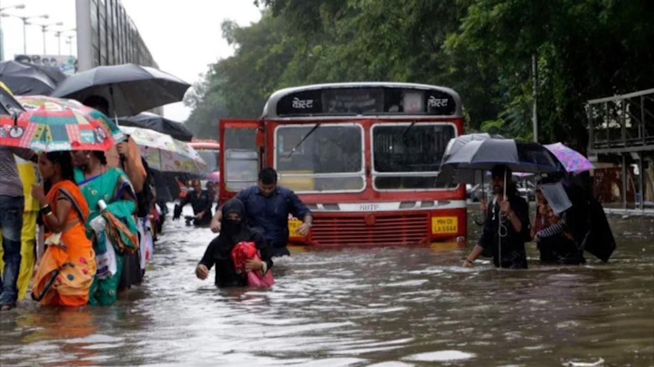 Mumbai bi nhan chim do nuoc bien dang hinh anh