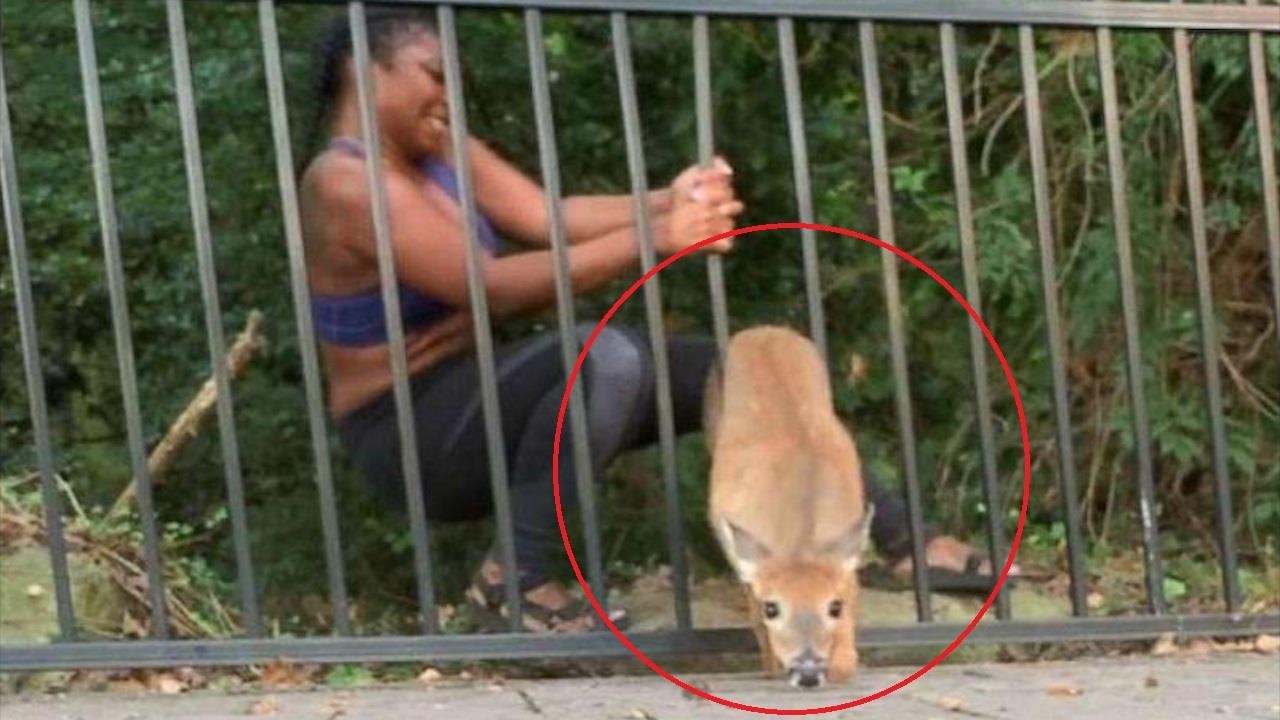 Co gai be thanh chan giai cuu nai bi ket 2 lan trong cung ngay hinh anh