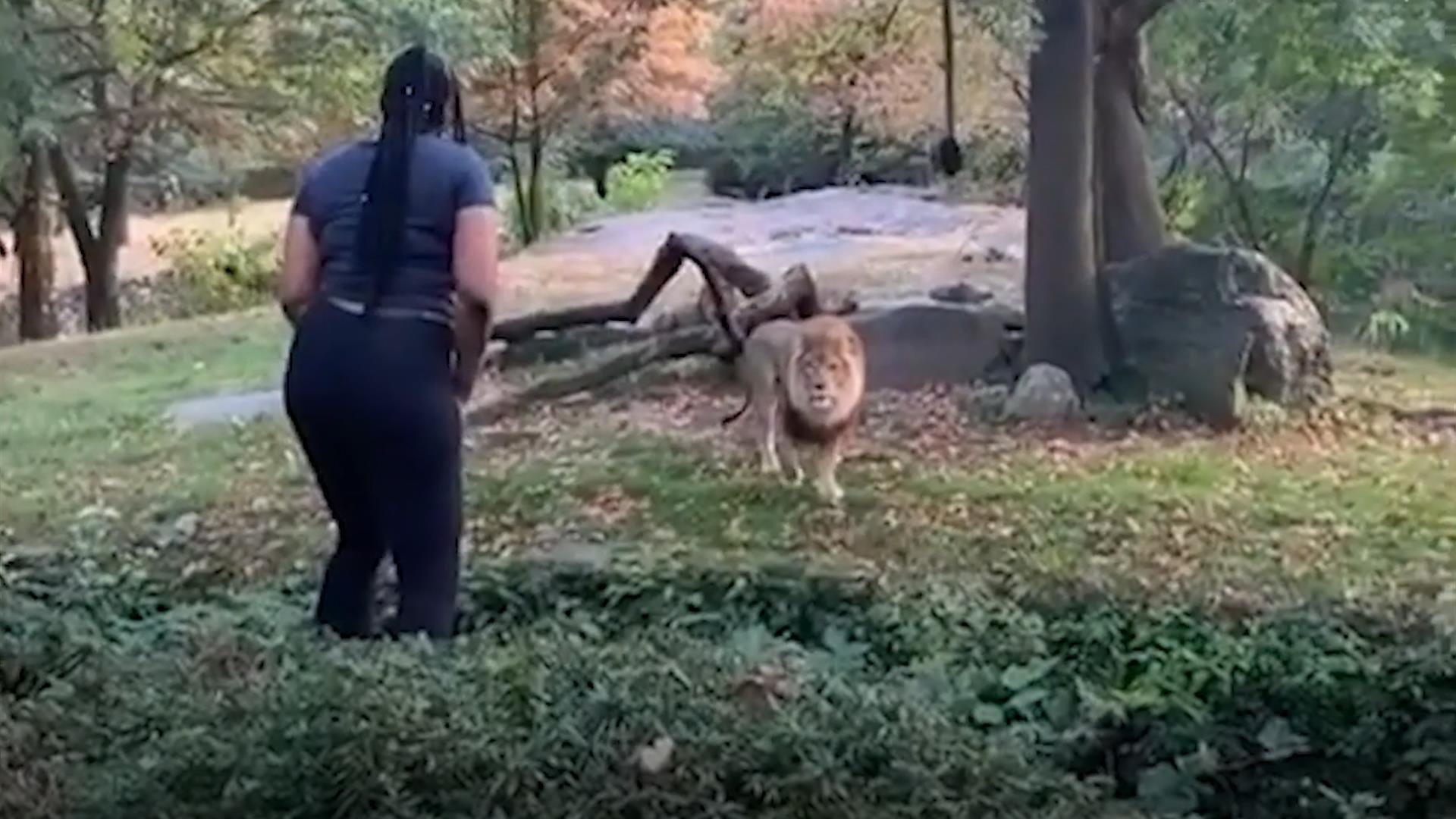 Su tu 'dung hinh' khi bi co gai xong vao chuong choc gheo hinh anh
