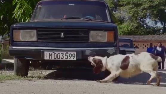 Chuyen gia Phap huan luyen cho nghiep vu Cuba danh hoi tien hinh anh