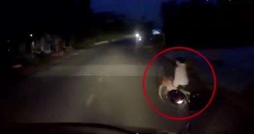 Container phanh gap tranh nguoi phu nu sang duong bat ngo hinh anh