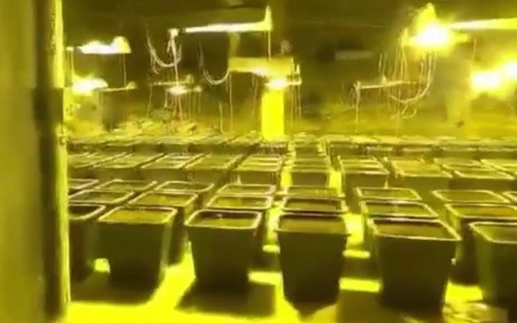 500 cay can sa bat ngo phat hien phia sau buc tuong phong tam hinh anh