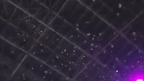 Ty phu Nga trut mua tien vao dam dong hinh anh