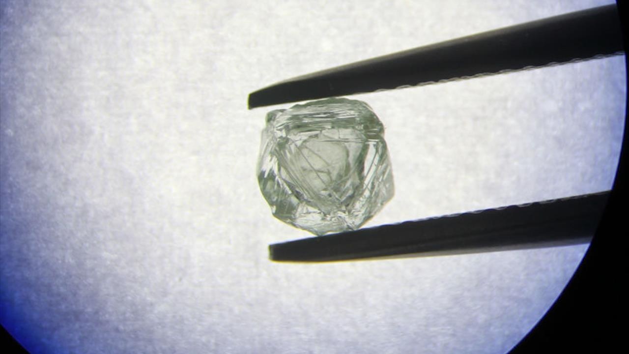 Nga tim thay vien kim cuong kep quy hiem hinh anh