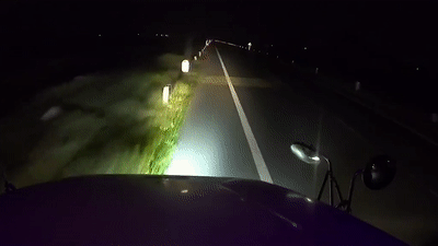 Tai xe ngu guc, container lao thang xuong ruong hinh anh