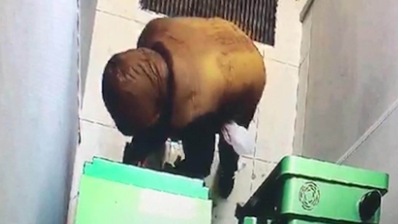 Ten trom thiet mang khi dat min tu che o cay ATM hinh anh