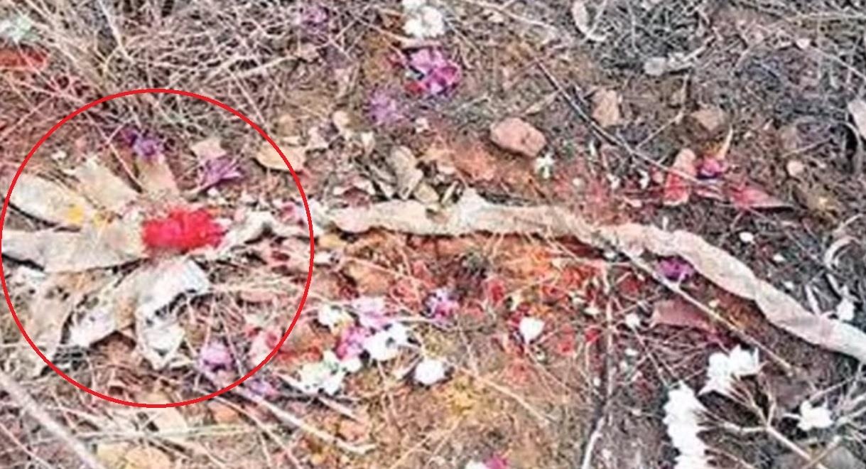 Phat hien da ran 7 dau ben canh ngoi den o An Do hinh anh