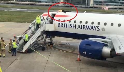 Van dong vien khiem thi leo len noc may bay de bieu tinh hinh anh