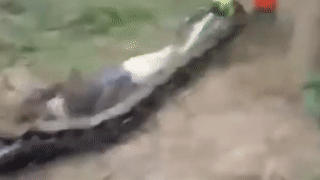 Tran dai 5 m nha xac cho sau khi nuot chung truoc mat chu nha hinh anh