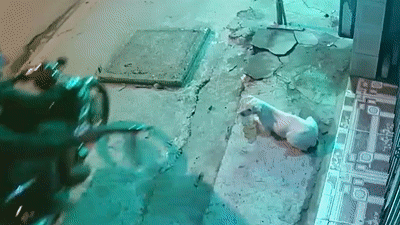 Hai thanh nien dung sung dien trom cho trong tich tac hinh anh