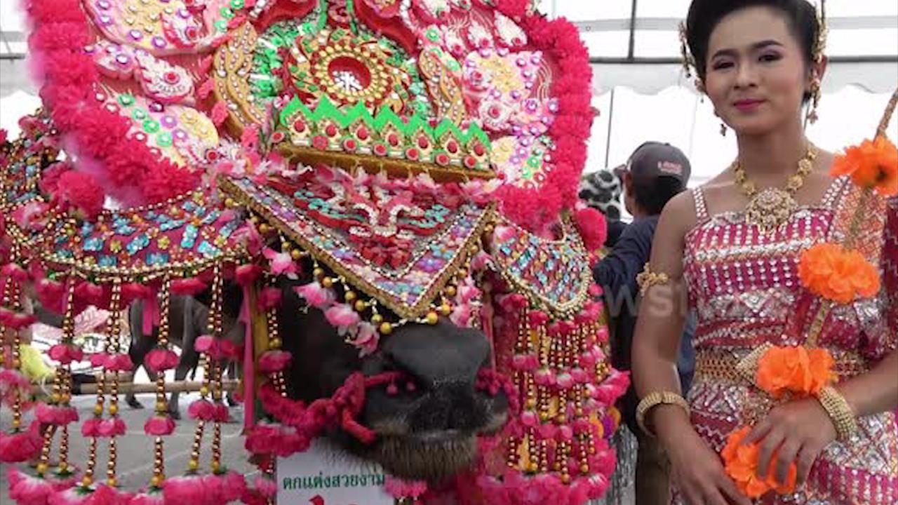 Trau 'lot xac' trong cuoc thi hoa hau o Thai Lan hinh anh