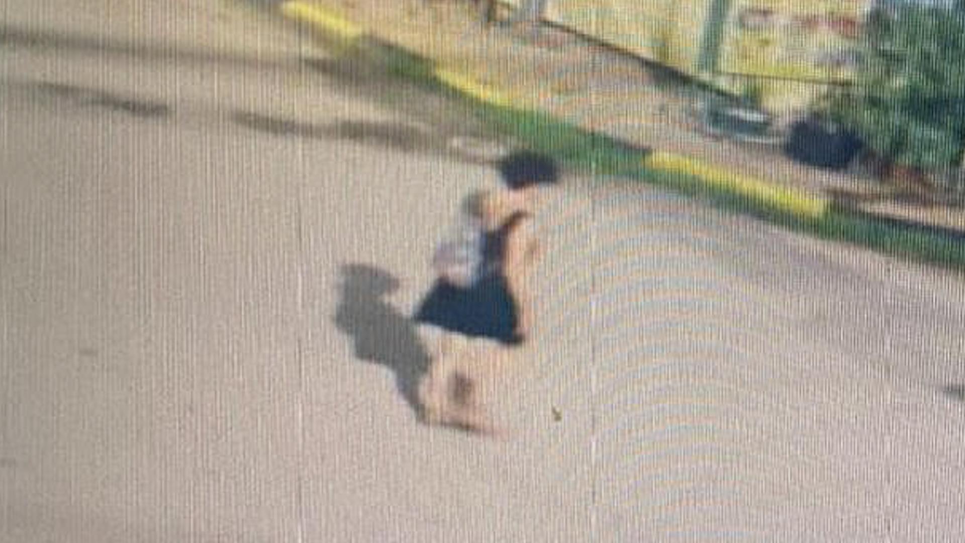 Nu du khach Phap bi 3 ga dan ong ep len oto, cuong hiep tap the hinh anh