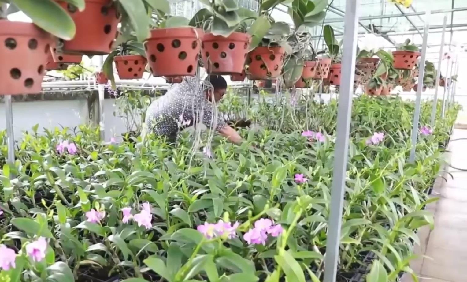 Dau tu 400 trieu trong lan tang vo hinh anh