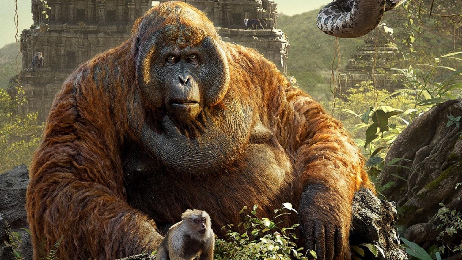 Loai vuon khong lo thoi co dai tung song o Viet Nam hinh anh