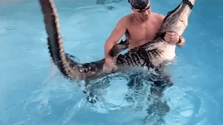 Nguoi dan ong tay khong vat lon voi ca sau trong ho boi hinh anh