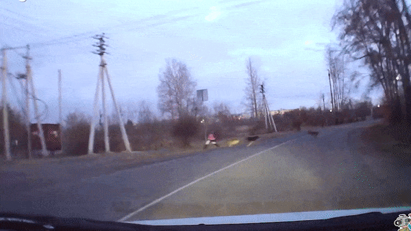 Oto nhanh tay danh lai cuu be gai dang bang qua duong hinh anh