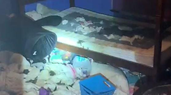 Can canh ngoi nha co 3 dua tre giua nui rac va 245 con vat hinh anh