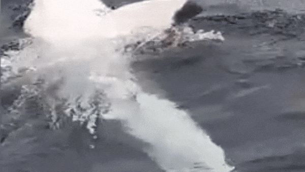 Ca map trang ngoac mieng phoi bung truoc mat du khach hinh anh