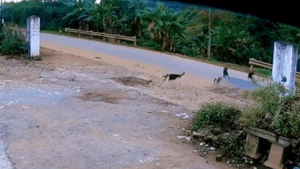 Bay cho ruot duoi xe may khien tai xe nga nhao hinh anh