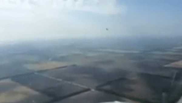 Chim dam dau vao may bay o Nga hinh anh