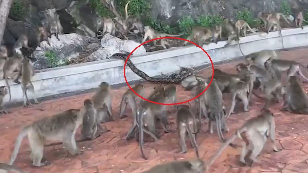 Bay khi cuong cuong khi thay dong loai bi tran quan xiet hinh anh