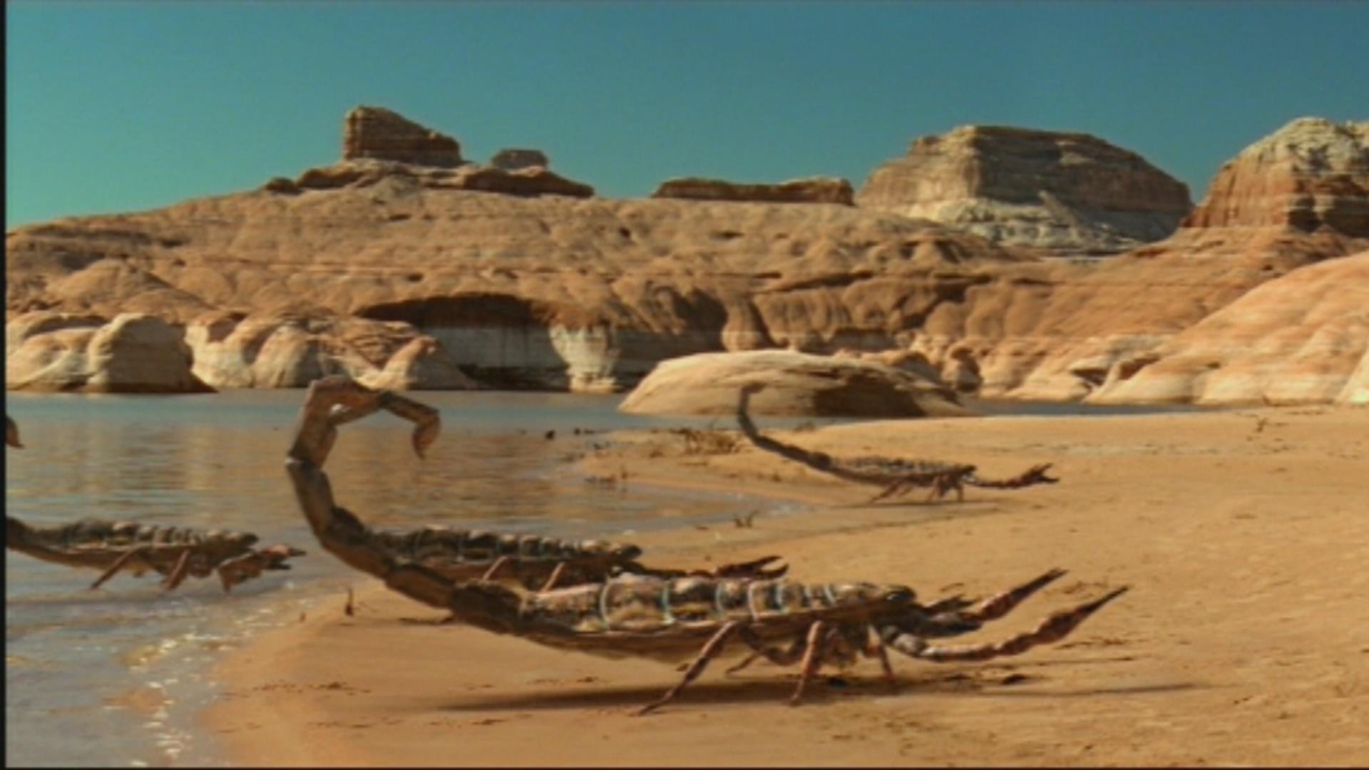 Nhung sinh vat khong lo ton tai truoc ca khung long hinh anh