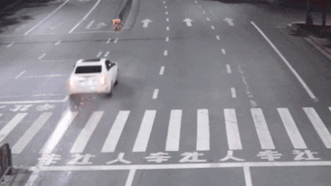 Oto dang chay bi chay xang ra duong tao vet lua dai ca chuc met hinh anh