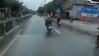 Cho tha rong chay sang duong khien tai xe xe may nga song soai hinh anh