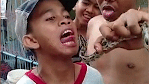 Be trai bi tran dop vao luoi o Indonesia hinh anh