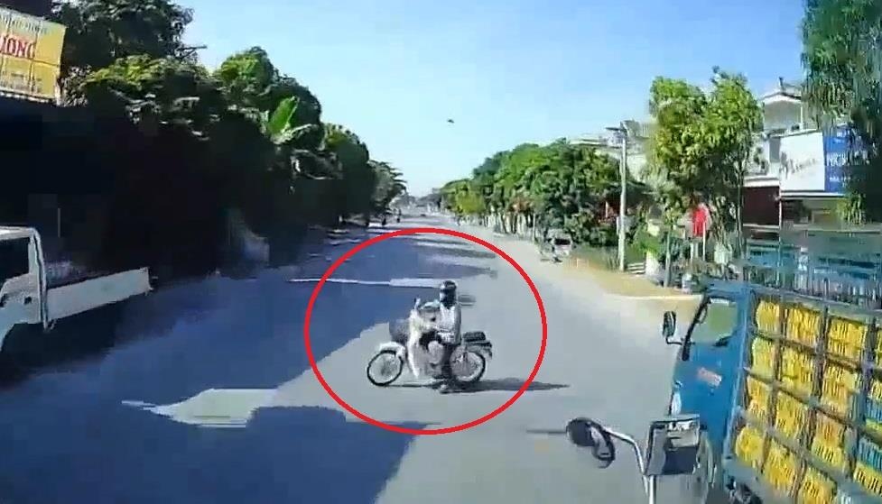 Xe may bi container dam trung hinh anh