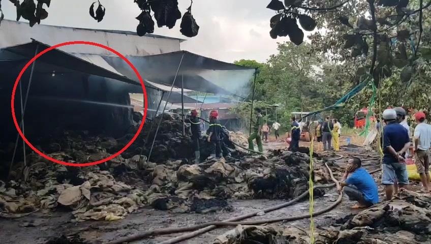 Lua thieu xuong bao bo dung hat dieu hinh anh