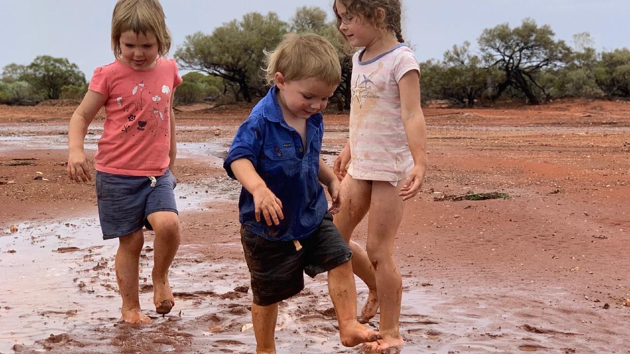 Nong dan Australia an mung con mua dau tien sau dot han han hinh anh