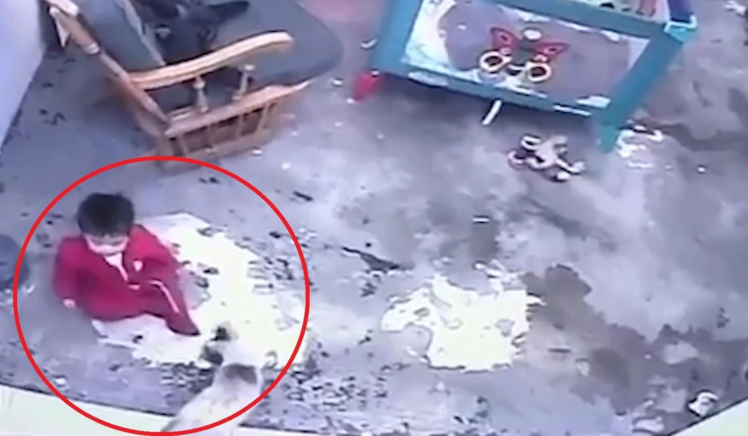 Meo cuu em be khoi roi xuong cau thang 12 bac hinh anh