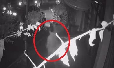 Lai oto di trom hoa trong dem o Ha Noi hinh anh