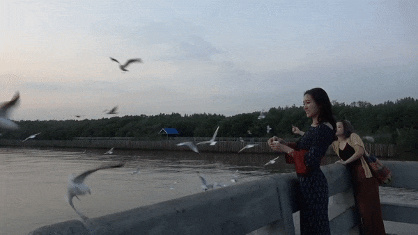 Hang nghin con mong bien sa xuong an moi o Thai Lan hinh anh