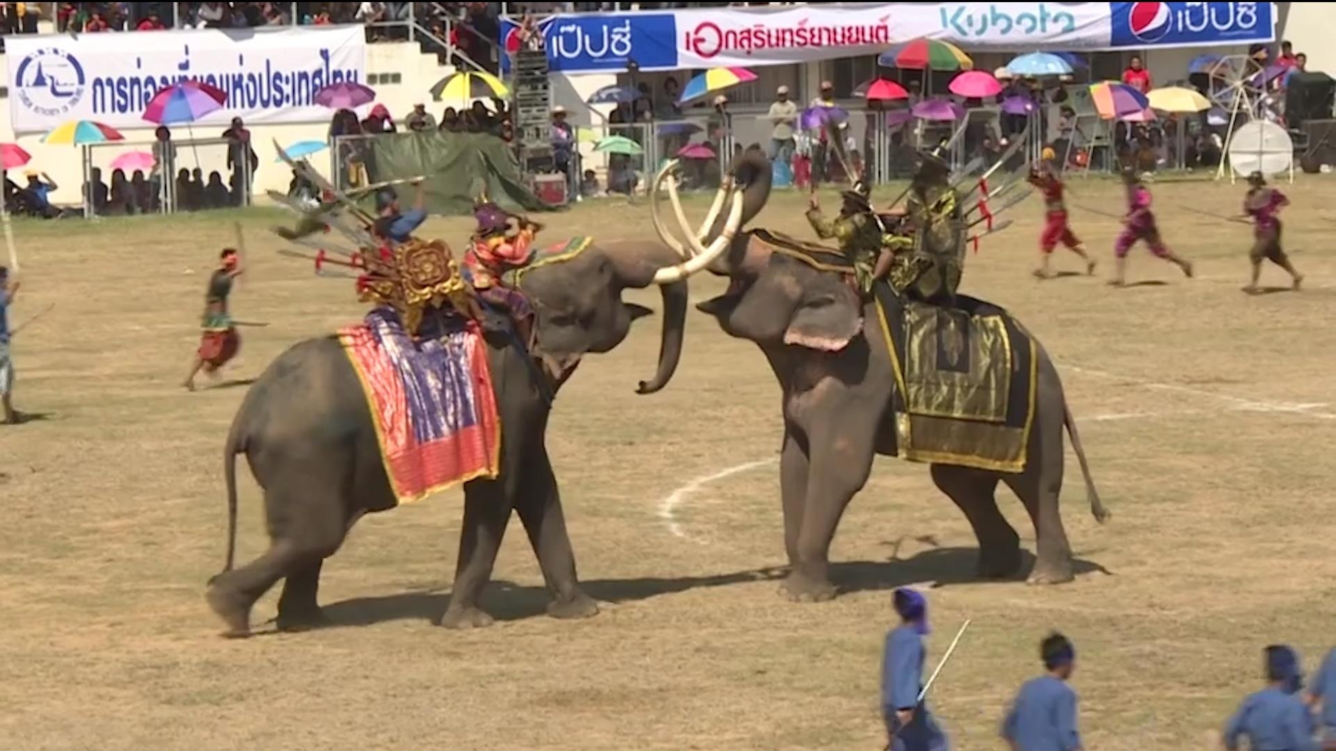 Ca tram 'voi chien' Thai Lan tai hien tran chien thoi xua hinh anh