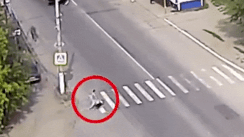 Chu cho cuu thoat chu nhan khoi bi xe tai dam hinh anh