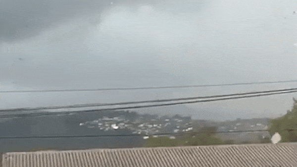 Loc xoay thoi bay mai nha o New Zealand hinh anh